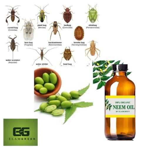 EG ELAMGREEN Elamgreen Organic Cold Pressed Neem Oil, 100 ml - Pack of 2