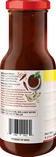 Tamicon Tamicon Spicy Ginger dip