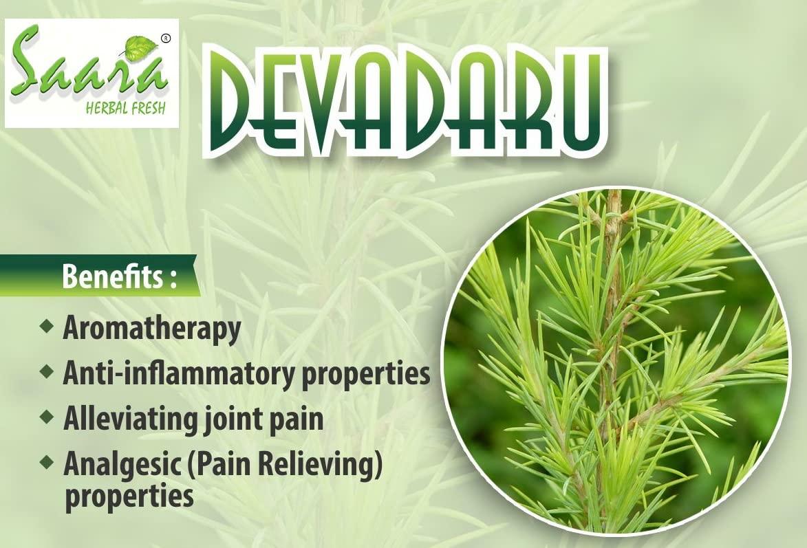SAARA SAARA Deodar Wood Powder | Cedrus Deodara Powder | Himalayan Cedar Wood | Devadaru Wood Cedar Tree Powder 350g