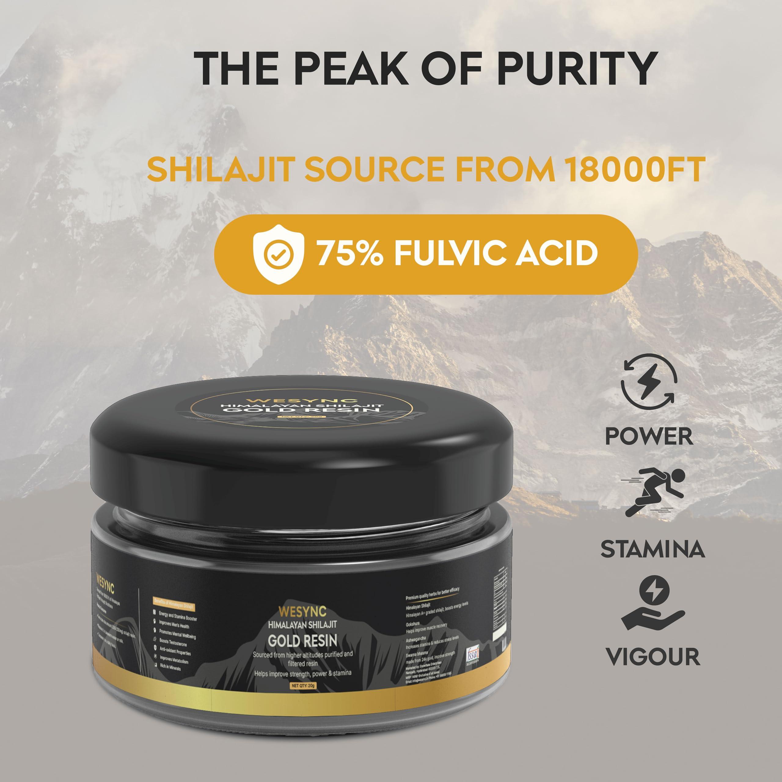 Wesync Himalayan Shilajit/Shilajeet Helps in Boosting Stamina, Energy, Vitality & Overall Health - 20g