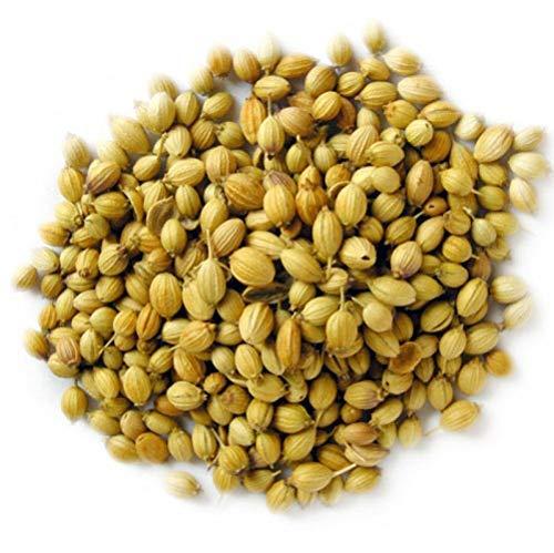 Grocery House Grocery House Coriander Seeds Whole | Dhaniya Seeds | Sabut Dhania | Whole Dhania Seeds | Dhania Whole (100 Grams)
