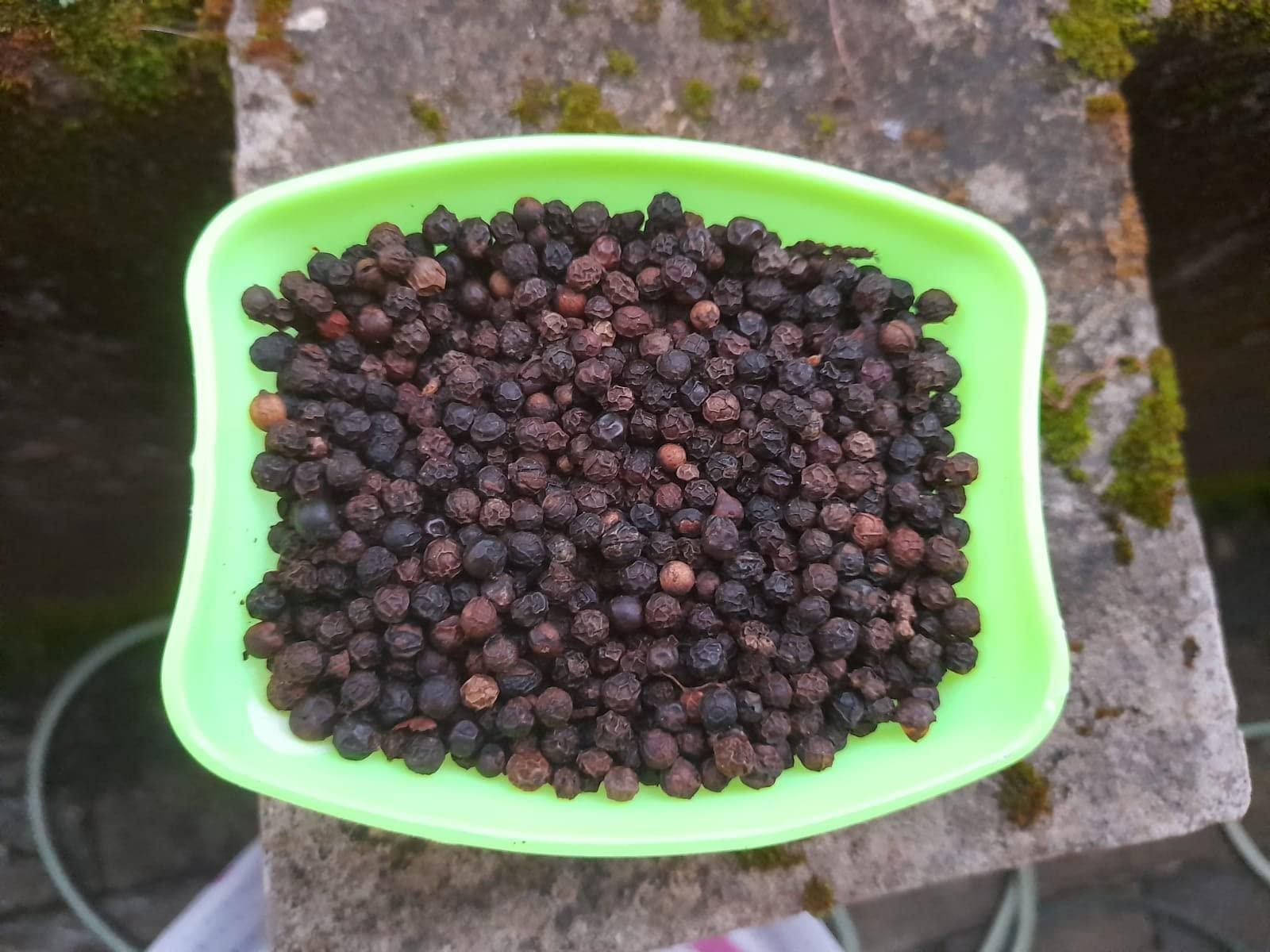 Generic Black Pepper Kerala Kali Mirch Kurumulag 200GM (Large)