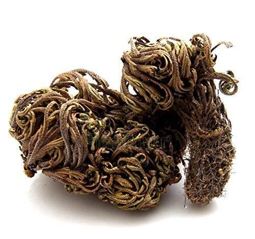 Organicgreen Herb Organicgreen herb Laxman Booti 50 Gms - Sanjeevani - Pitta Kaku - laxman Buti - Selaginella Bryopteris Sanjeevani booti