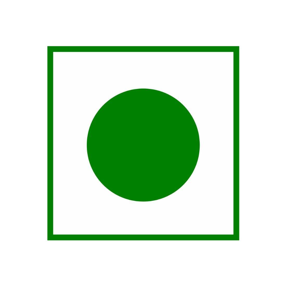 STAMIO STAMIO Jatamansi Powder 100 gm | Spikenard | Nardostachys Jatamasi | Digestive Health | In Jar 3.53 oz