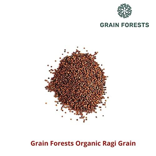 ALSWAMITRA Grain Forests Organic Ragi Whole Grain 1kg (Finger Millet)
