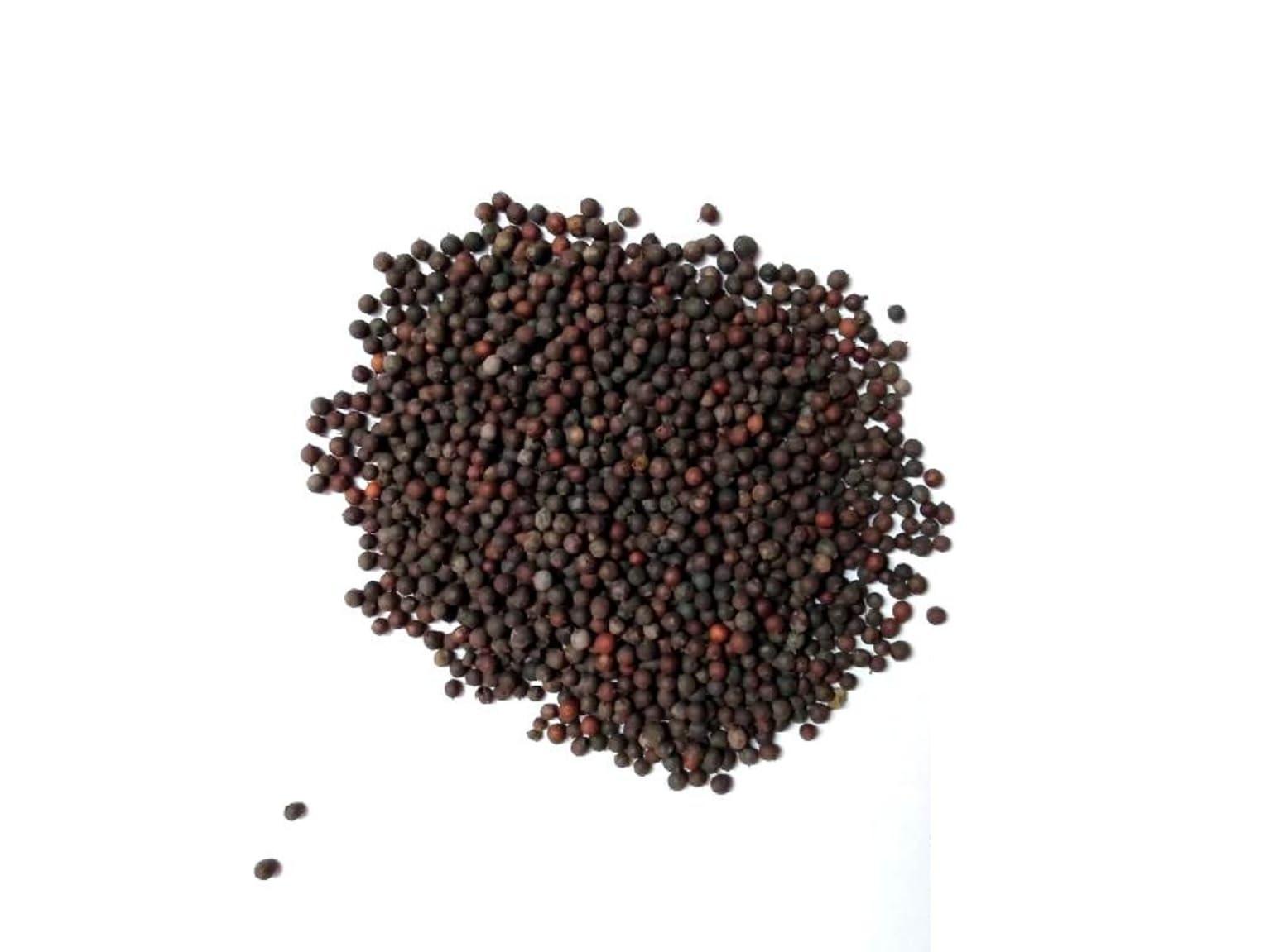vinarghya vinarghya Vidang/Organic Vavding/Vizalari/Amogha/Baobadang/Ambati/Vayuvidangam/Embelia Ribes/False Black Pepper - 100g