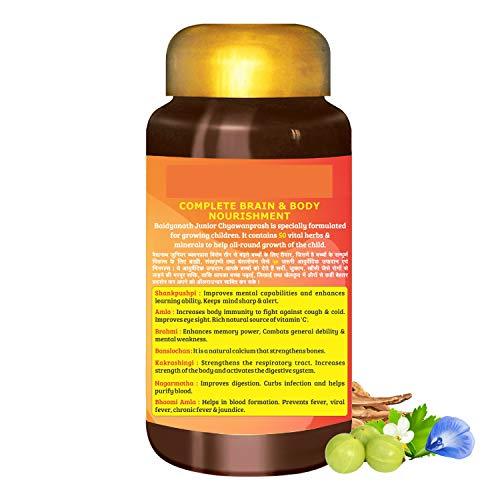 Baidyanath Baidyanath Junior Prash - 500g, Specially Formulated Chyawanprash for Kids