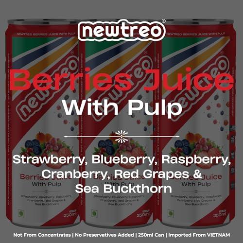 Newtreo Newtreo Berries Juice With Pulp | Imported from Vietnam | Strawberry, Blueberry, Raspberry, Cranberry, Red Grapes & Sea Buckthorn Juice | 12 x 250ml cans | No concentrates or preservatives added
