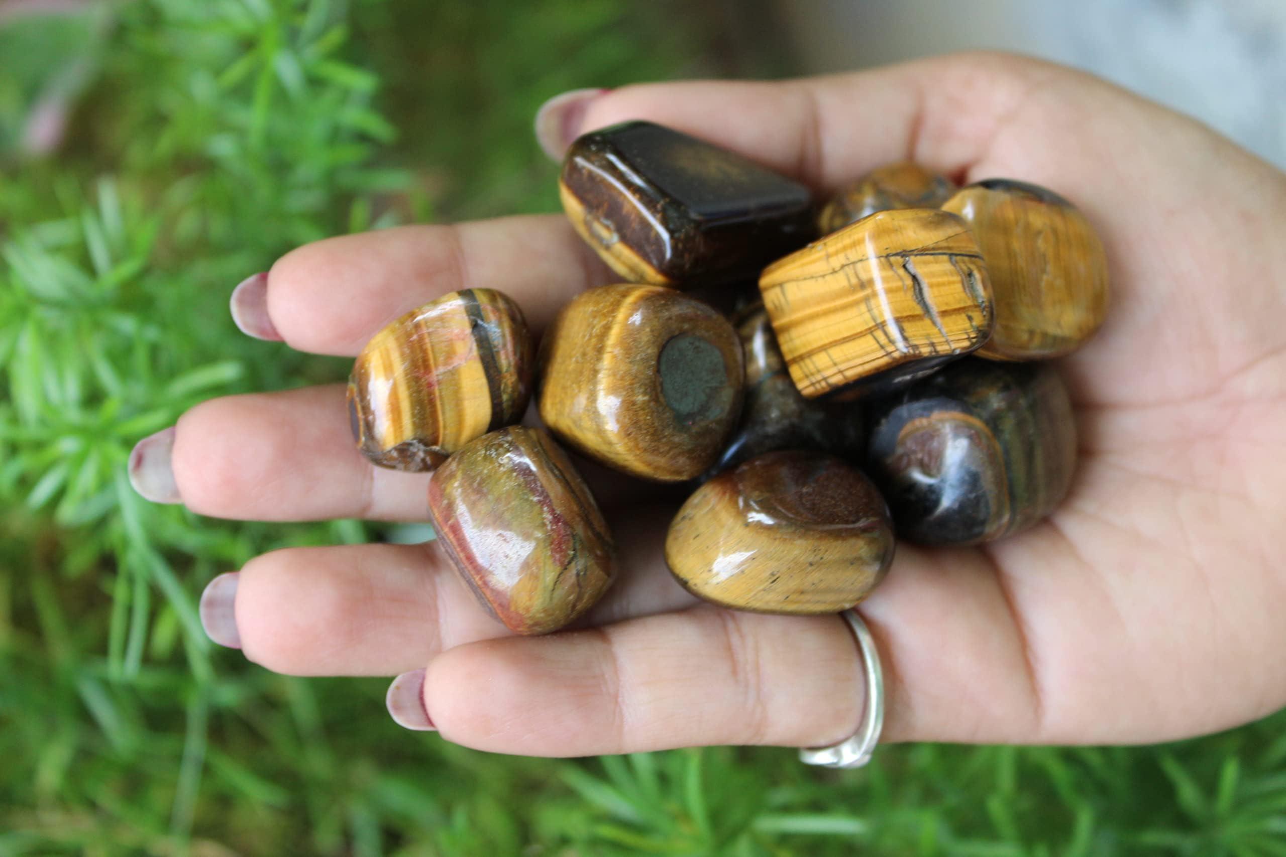 Clinch White Chocolate Brazilian wax for bikini lines(500gm)