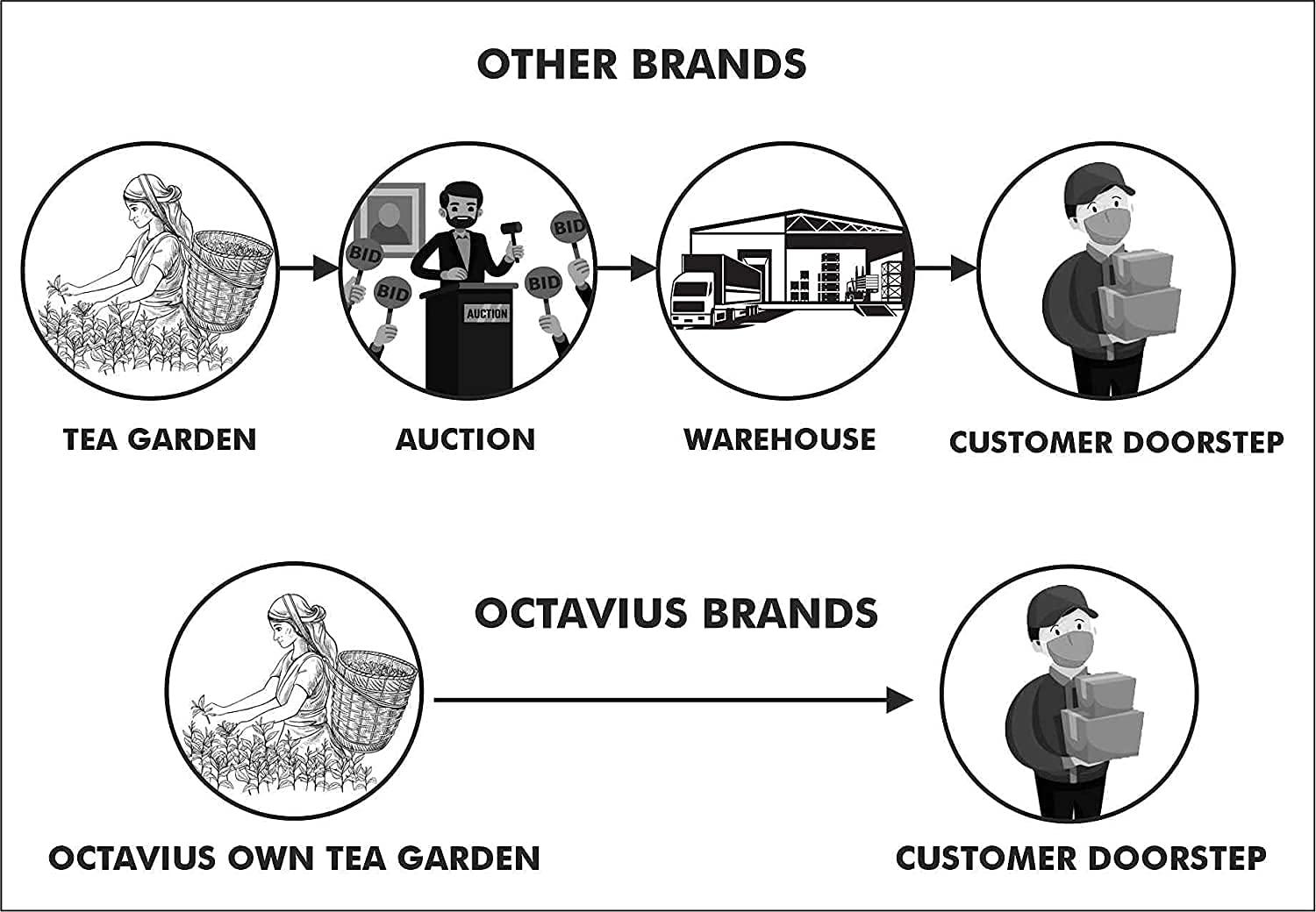 Octavius Octavius Connoisseurs Tea Collection | Premium Darjeeling Loose Leaf Teas | First Flush, Second Flush | With Double Wall Glass - 200 Gm (100 Gm Each)