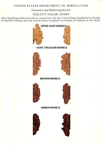 3p 3P Kashmiri Walnut Kernels Without shell Light Quarter Fresh Organic Natural Premium Akhrot giri Walnuts dry fruit 500g (250gm X 2)