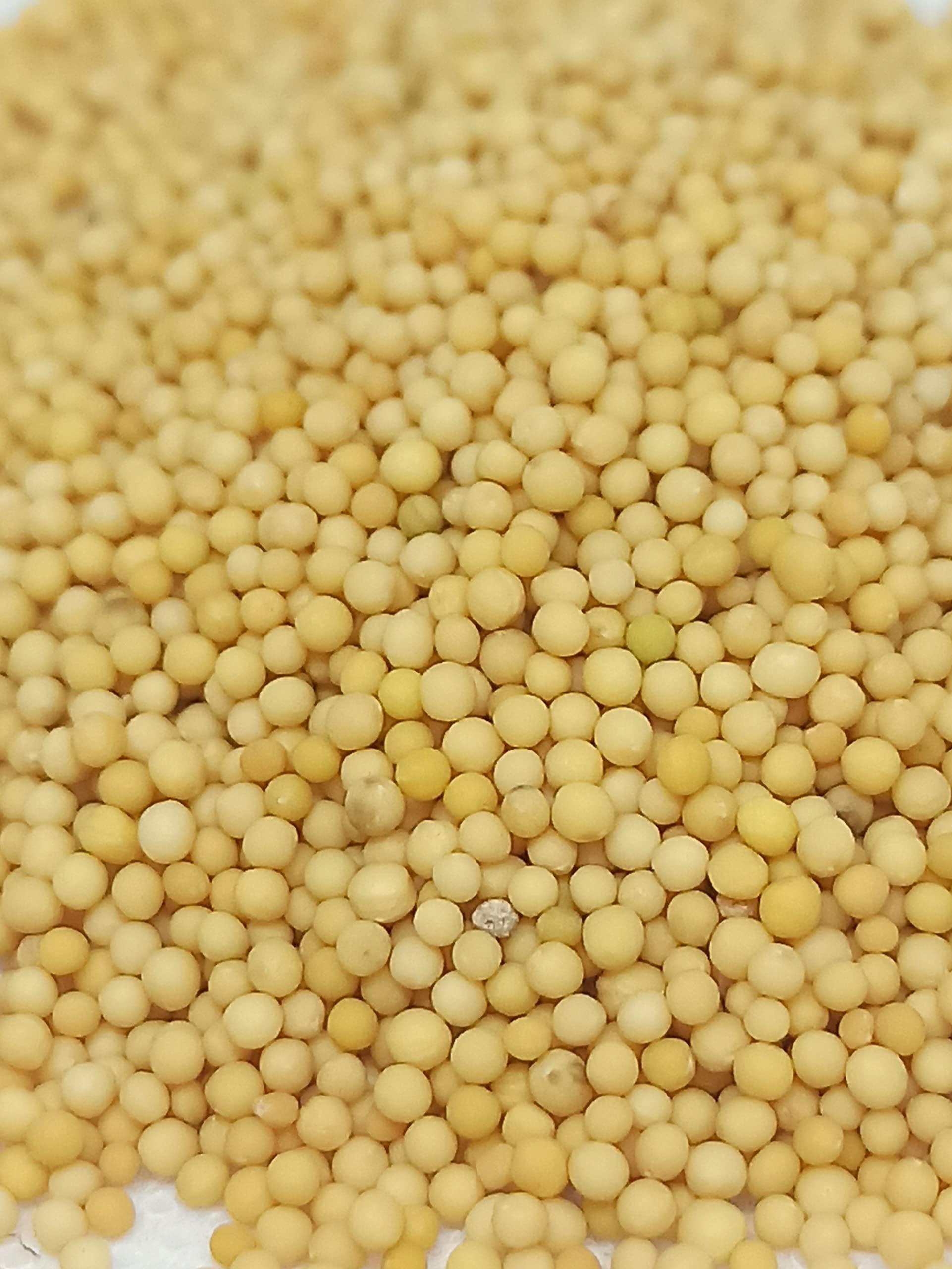 Generic NATURALIFE\'S-*VEN KADUGU*-YELLOW MUSTARD SEEDS RAW/ (250 GRAMS)