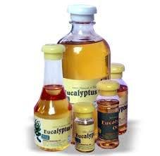 Neeraj Essential Oil Neeraj Essential Oil Eucalyptus Oil, 100 ml