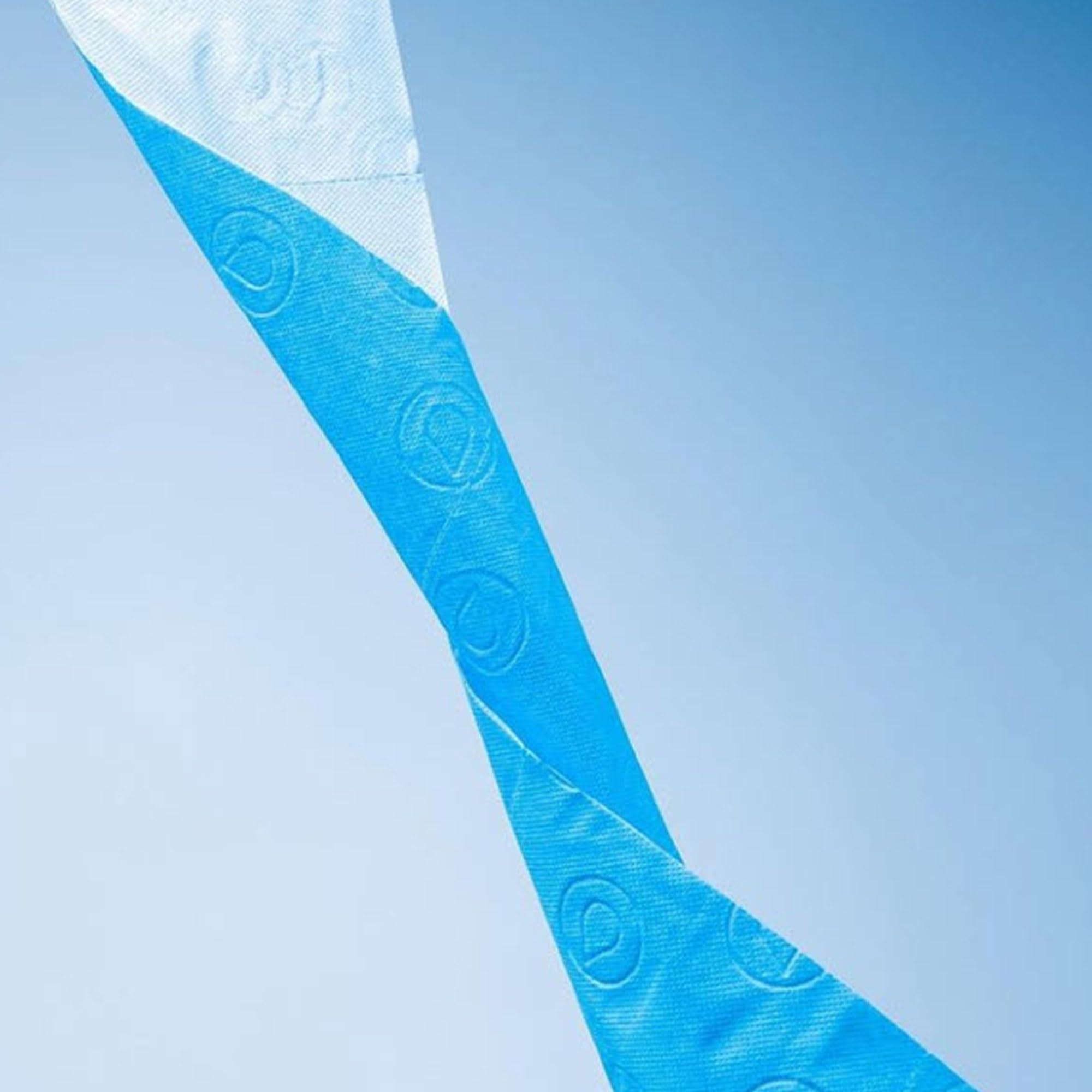 Renova Renova Red Label Maxi Toilet Paper, Blue