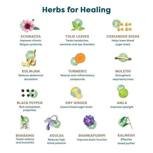 WELLBEING NUTRITION Wellbeing Nutrition Grandma's Kadha -Ayurvedic Natural Immunity Booster | Ayurvedic Kadha for Immunity, Cold, Cough, Sore Throat & Congestion (60 Effervescent Tablets)