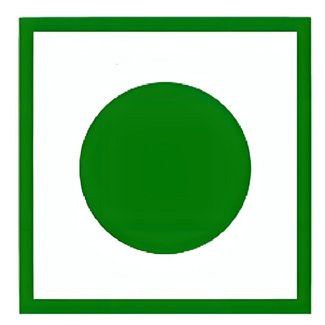 Kri N Sha Ready to Fry Dry GolGappa/Pani Puri Papad/Panipuri Papad - Whole Wheat Golgappe 250 gm