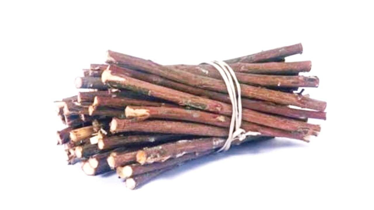 All Manish store Organic Babool Datun Chew Stick for Healthy and Strong Teeth- 50 sticks