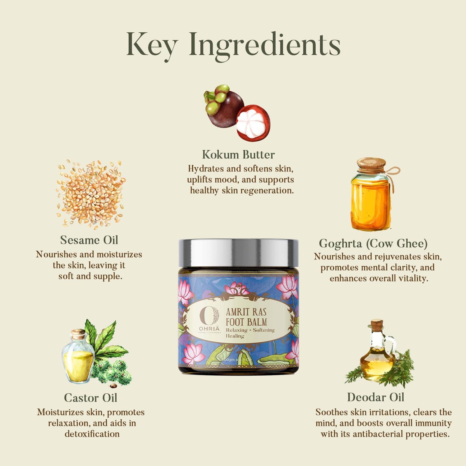 CPEX CPEX Portable 2 Wheel Comfortable Non-Slip Steel/Plastic Handles Abdominal Exercise Roller Exercise Tool Fitness Equipment with Pad