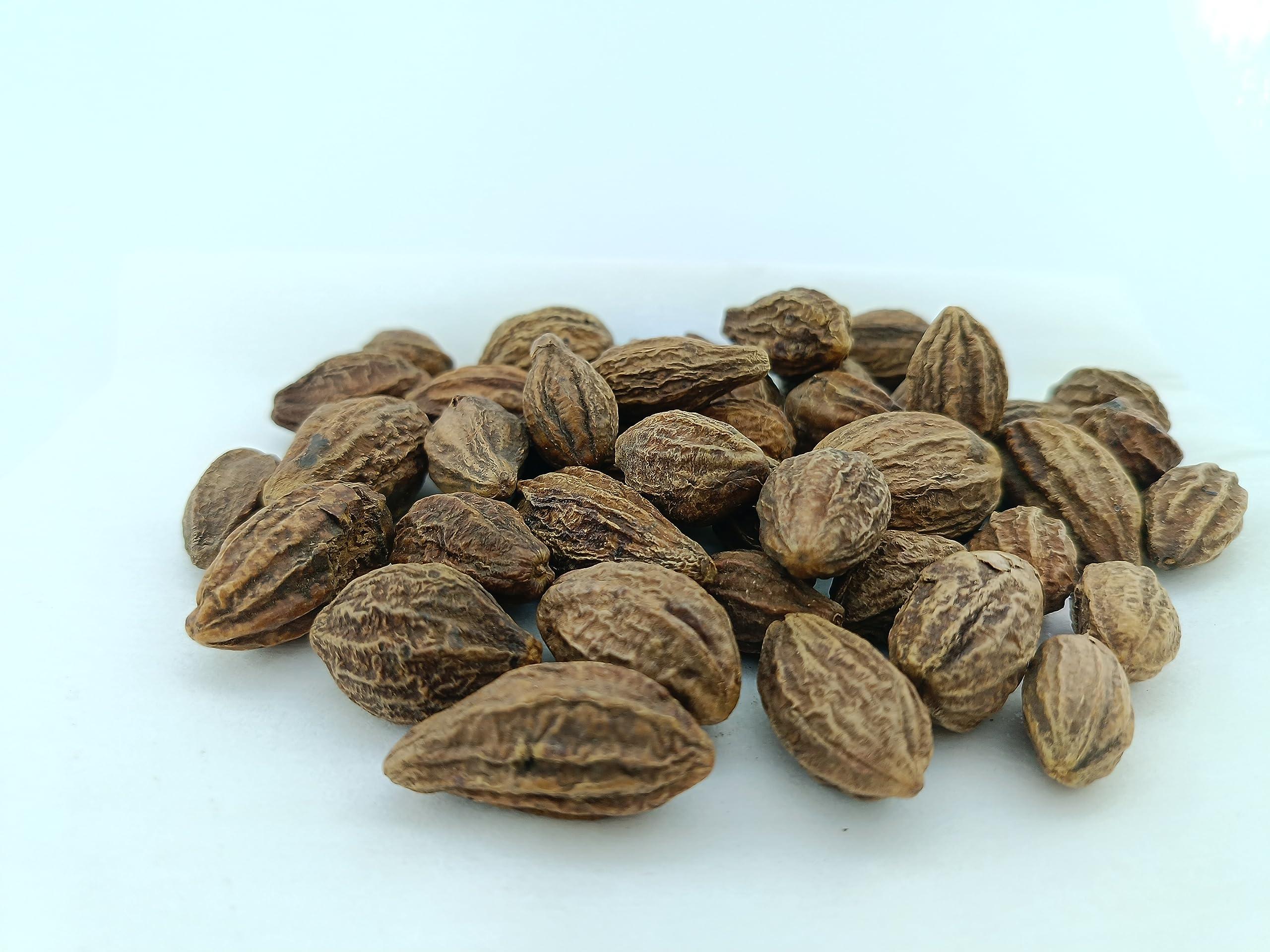 advancedestore advancedestore Dried Whole Karakkaya - Harad - Aralu - Inknut - Haritaki - Kadukkai - Harar - Terminalia Chebula - 250 G - Loose Packed