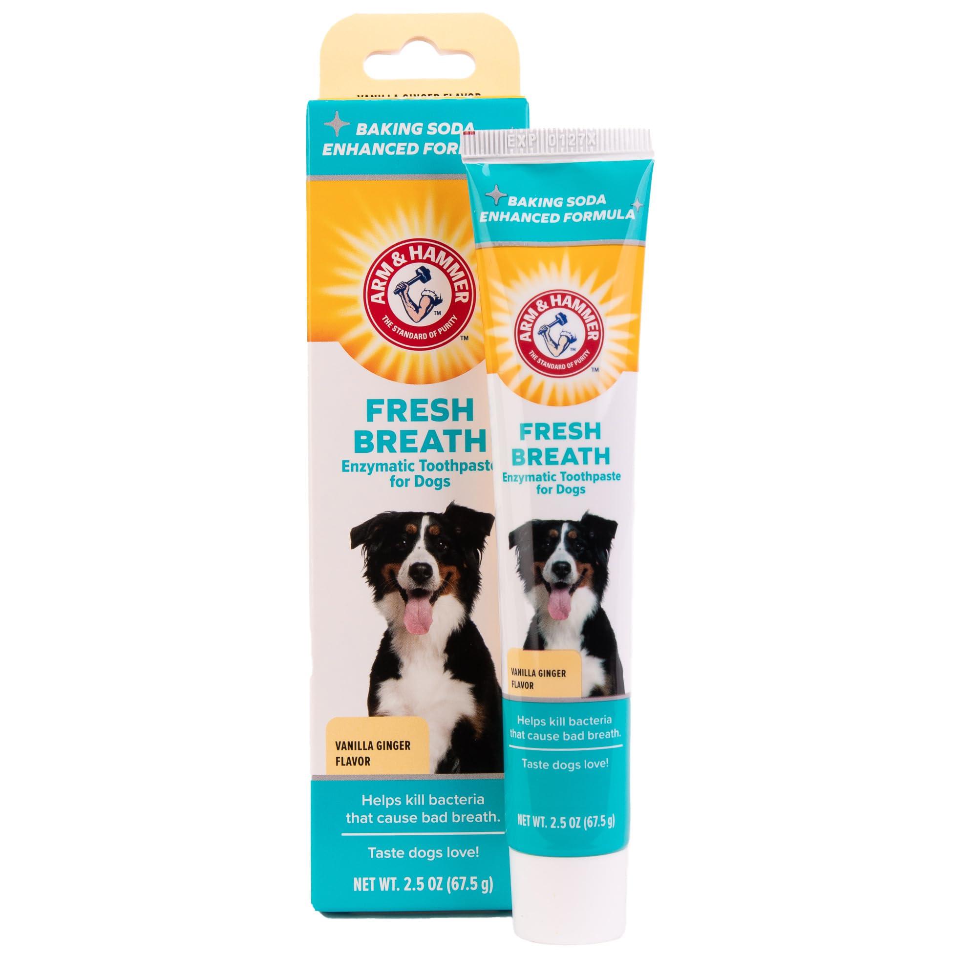 Arm & Hammer Arm & Hammer Clinical Care Enzymatic Toothpaste Gel - Vanilla Ginger