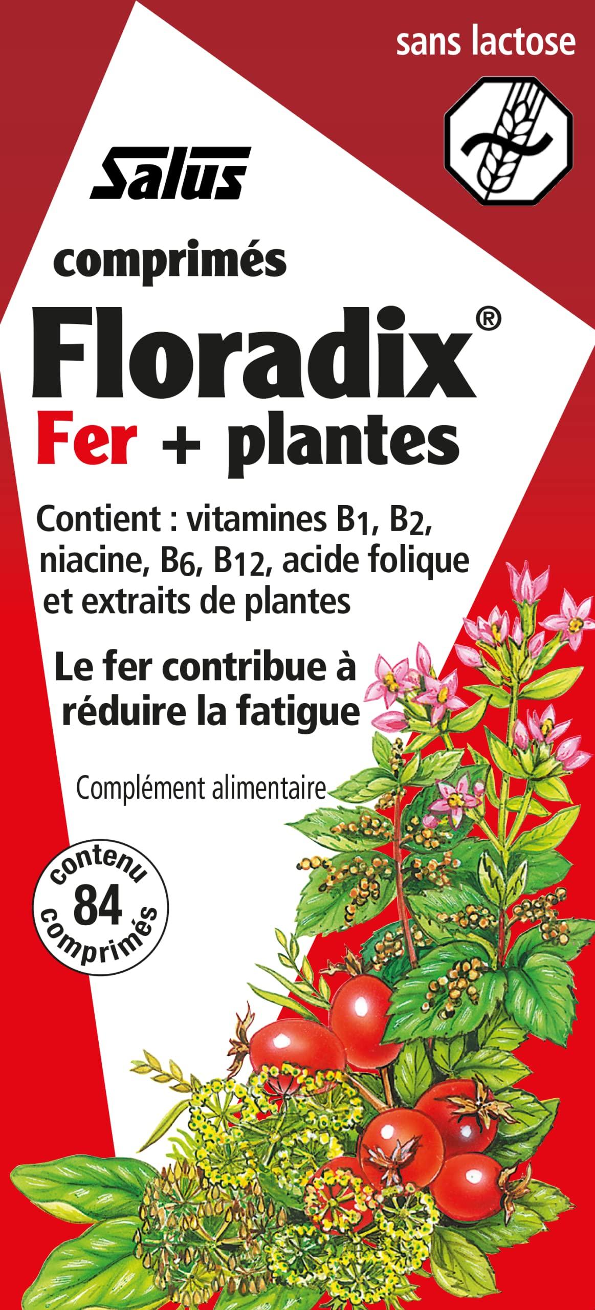 Floradix Floradix Iron 84 Tabs