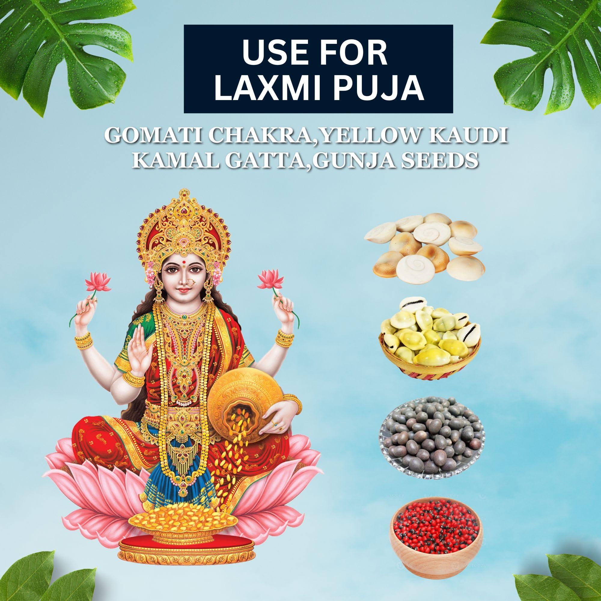 BrijBooti BrijBooti Combo Pack of Gomti Chakra - Pili Kaudi - Kamal Gatta - Gunja Seeds 11 Pieces Each for Lakshmi Pooja, Wealth & Luck