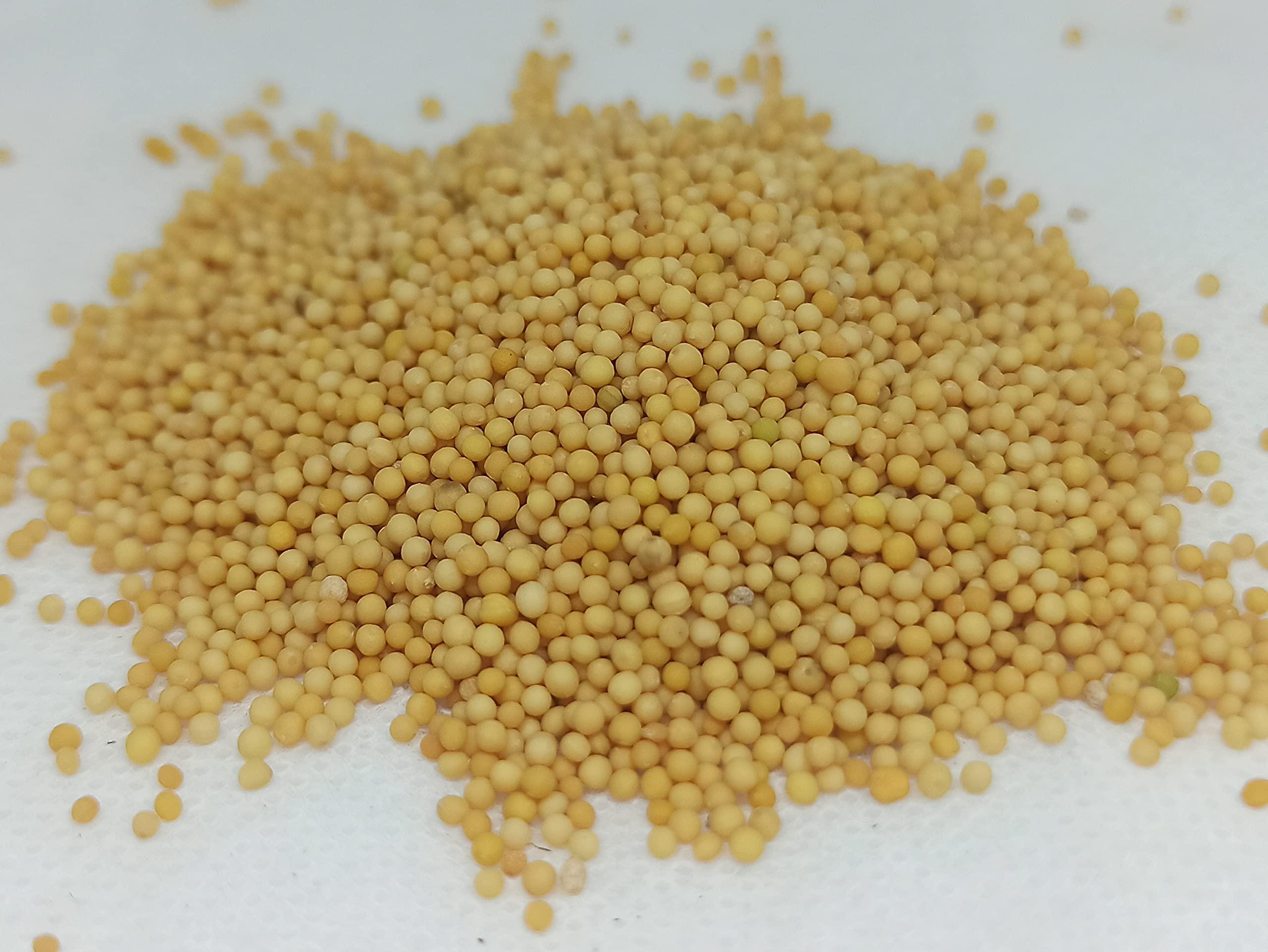 Generic NATURALIFE\'S-*VEN KADUGU*-YELLOW MUSTARD SEEDS RAW/ (500 GRAMS)