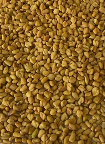 ALCON Alcon AirOptix Colors - Monthly Color Contact Lenses (-02.00, Green, Pack of 2)