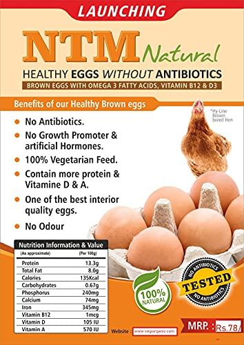 Vegiorganic NTM Natural Healthy Eggs Without Antibiotics Pack of 6 X 3 Pack Eggs (18 Eggs)