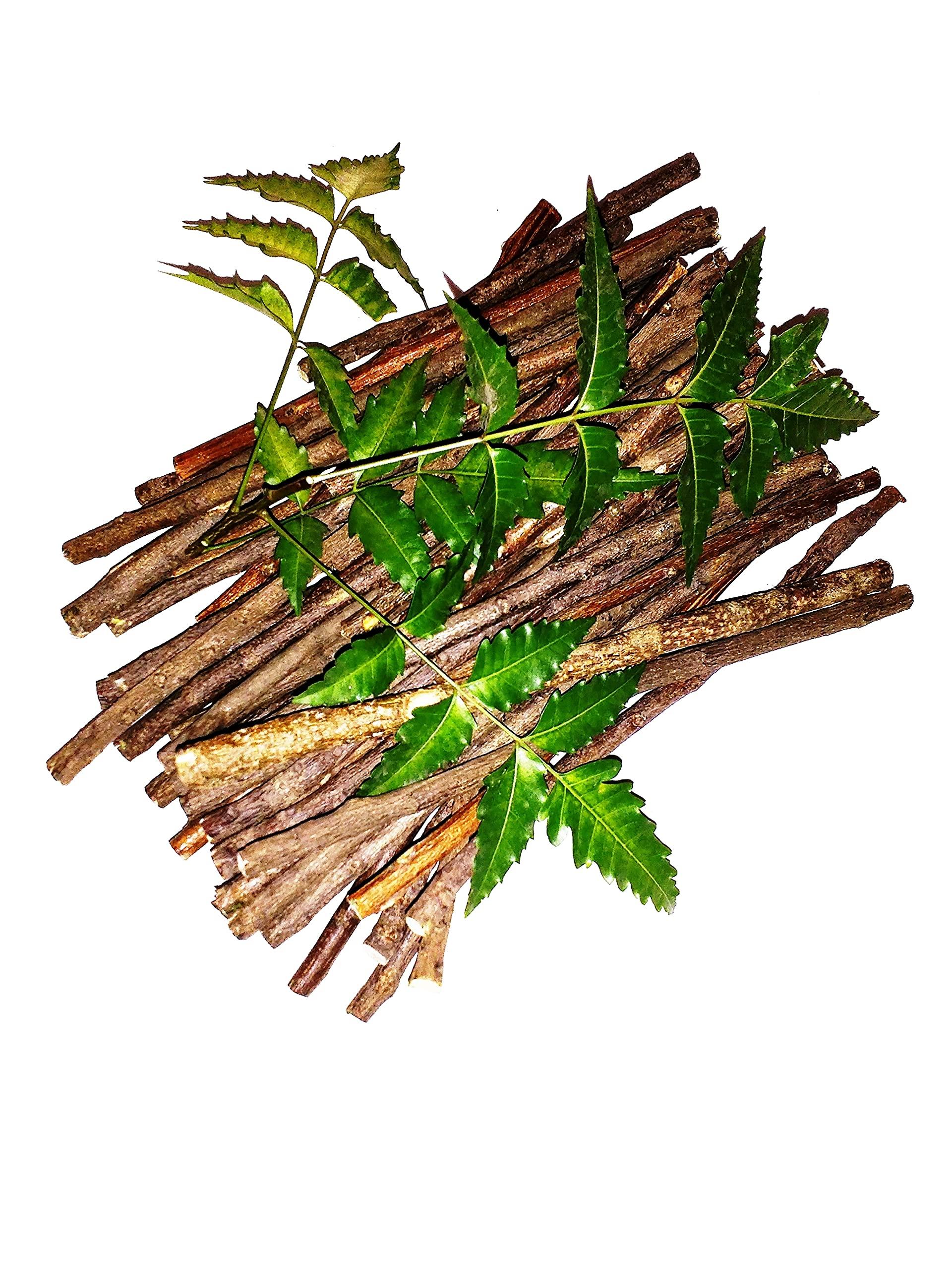 Alekip Organic Neem Chew Sticks for Healthy Teeth and Gums - 20 Sticks