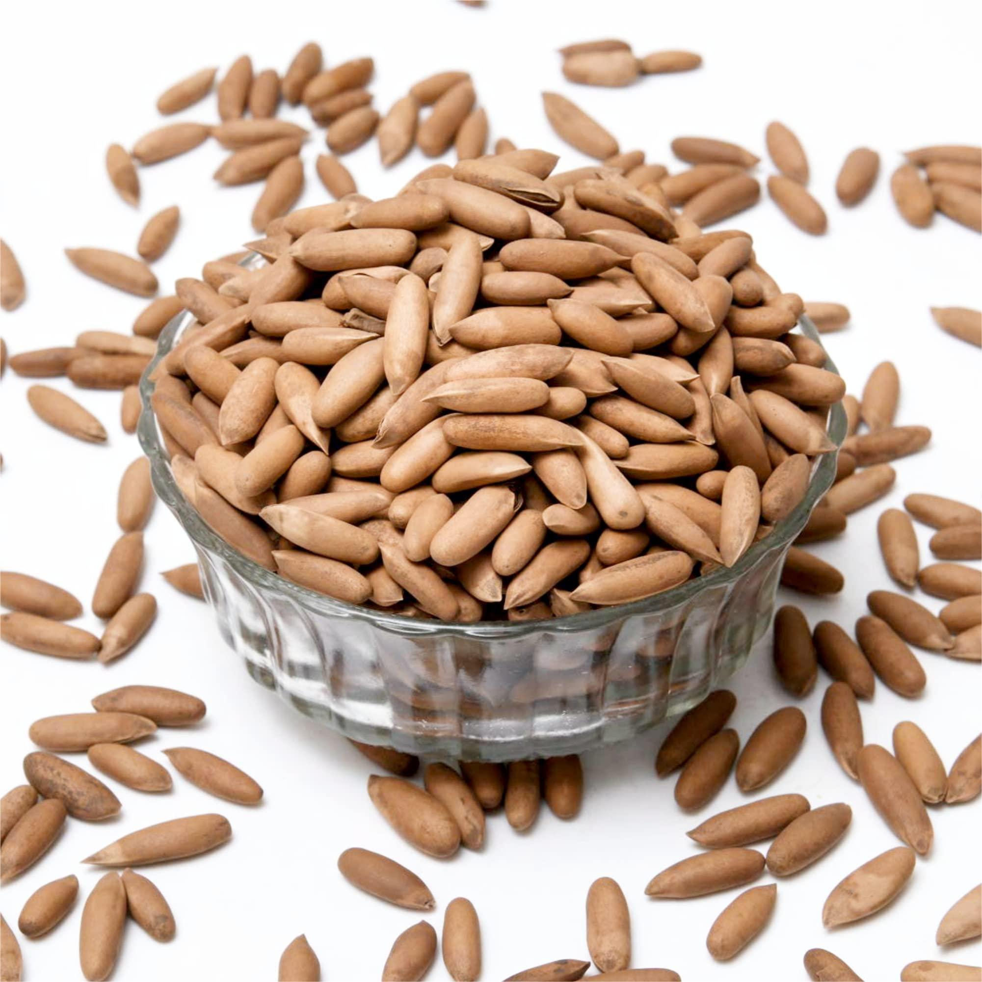 Occasions Ocassions Jumbo Pine nut (Chilgoza Seeds) with Shell ()- 250g