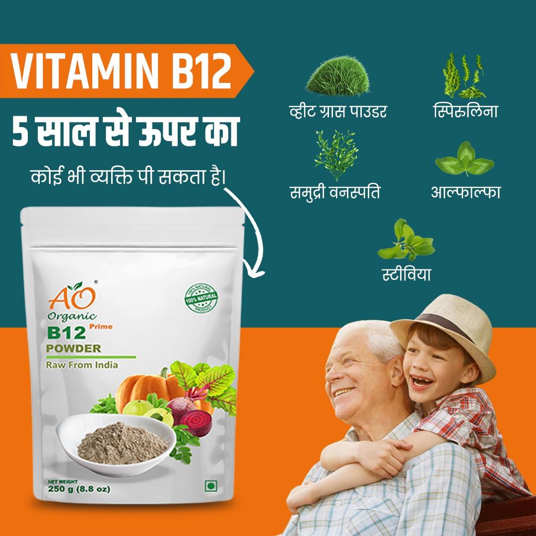 AO ORGANIC AO Organic NeuroBoost B12 Synergy: Synergistic B12 supplement enhancing neural function and metabolic processes for optimal vitality. |250GM|