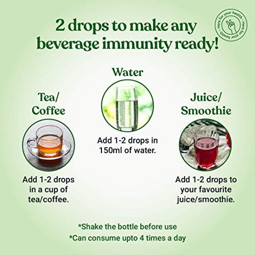 AITNE LIFESCIENCES Pure Tulsi Ark Drops - Natural taste, color, and smell - 5 types of pure Tulsi, Natural Immunity Booster - 30 Ml | Just 2 drops in Tea or warm water| PACK OF 1