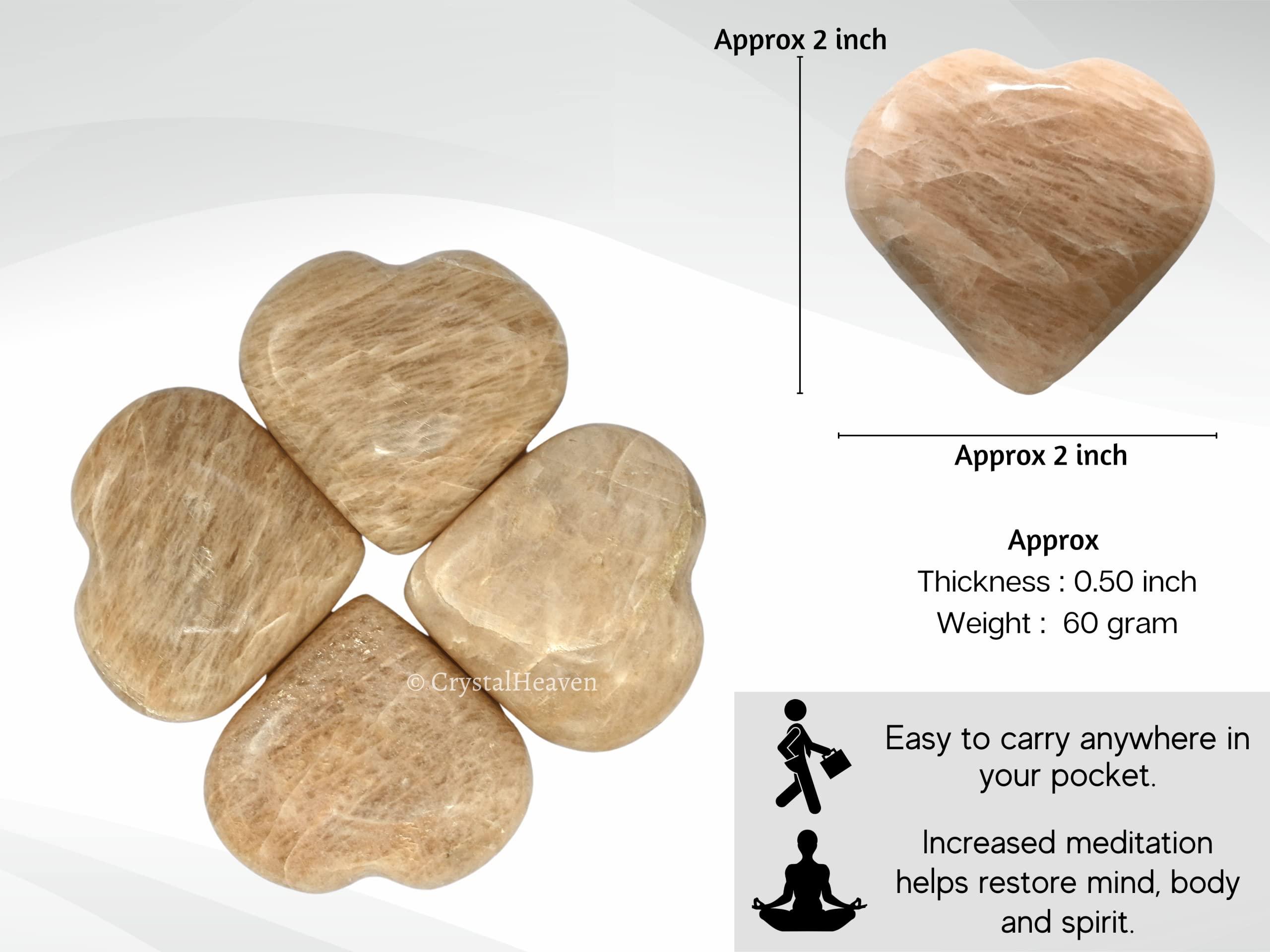 OZiva OZiva Daily Protein Activ for Women | Best Protein Powder for Women with 120g Protein, Probiotics, Shatavari for Increased Energy Levels, Bone Health and Hormonal Balance 300g (Chocolate, Pack 1)