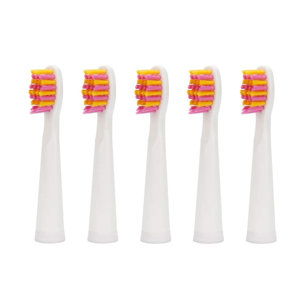 YUNCHI Toothbrush Replacement Heads Compatible with Teeteck YUNCHI Y1 Electric Toothbrushes 5 Pack - Pink