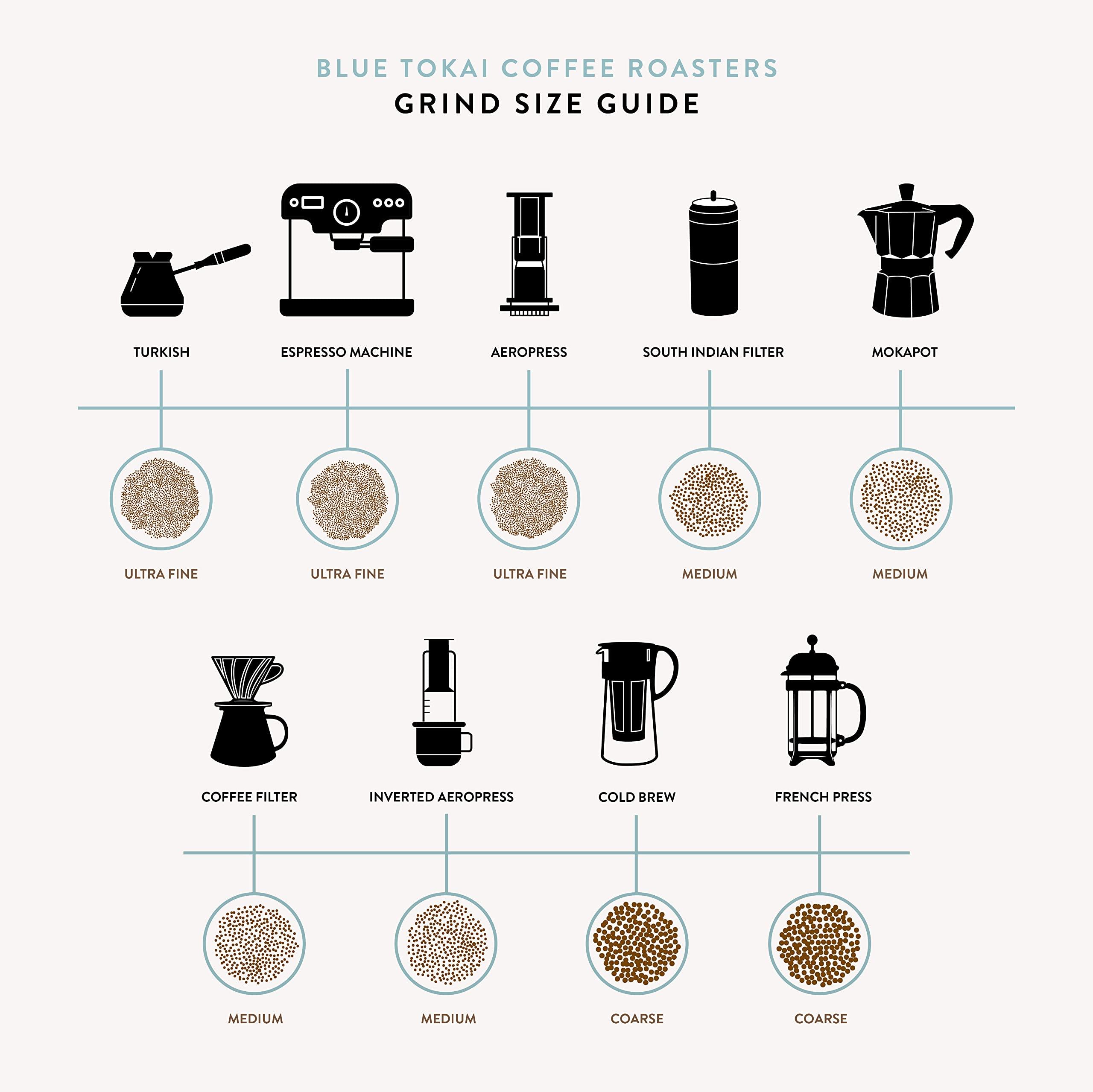 Blue Tokai Coffee Roasters Blue Tokai Coffee Roasters Silver Oak Cafe Blend - Medium Roast (Channi Grind) 1Kg | Made With 100% Specialty Grade Arabica Freshly Roasted Ground Coffee, Bag