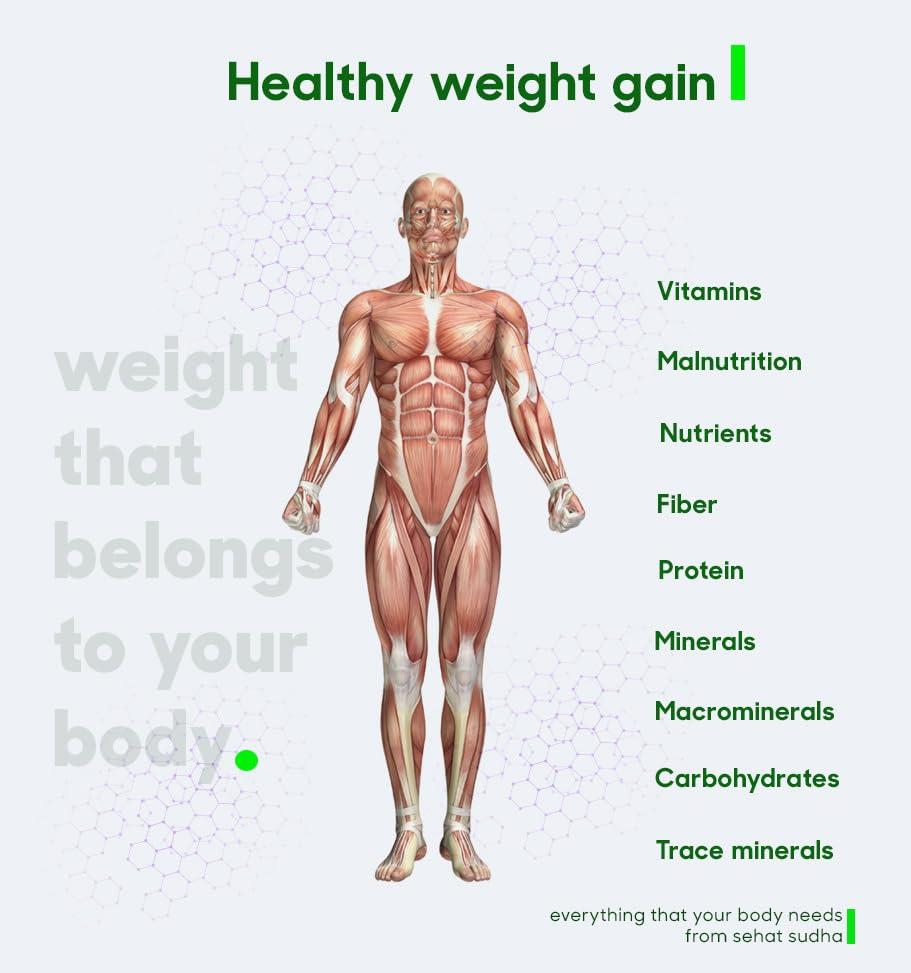 Manav Herbals Manav Herbals Sehat Sudha Ayurvedic/Herbal Powder for Naturaly Weight Gain and Mass Gain (160gm)