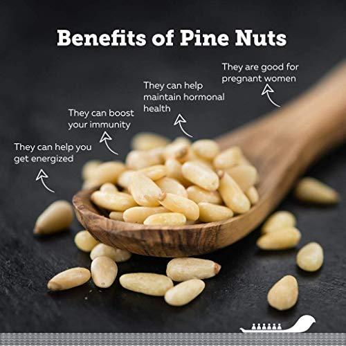 Organic Purify Organic Purify Lebanon Pine Nuts, 250g Jar Pack | Chilgoza | All Premium. Jar Pack