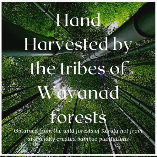 Aranyaka Aranyaka Kerala Wayanadan Forest Wild Bamboo Rice (500g) | Mulayari | Small Grain, Raw | Unpolished 0.5 Kg [From the forests of Kerala] 500g in Total