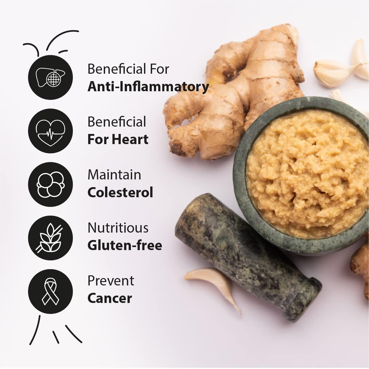 EXOTASTE EXOTASTE Garlic Ginger Mix Paste /Adrak Lahsun Paste For Cooking/Naturally Processed Fresh Garlic & Ginger Paste with No Added Preservatives (Garlic Ginger Mix Paste 400gm)