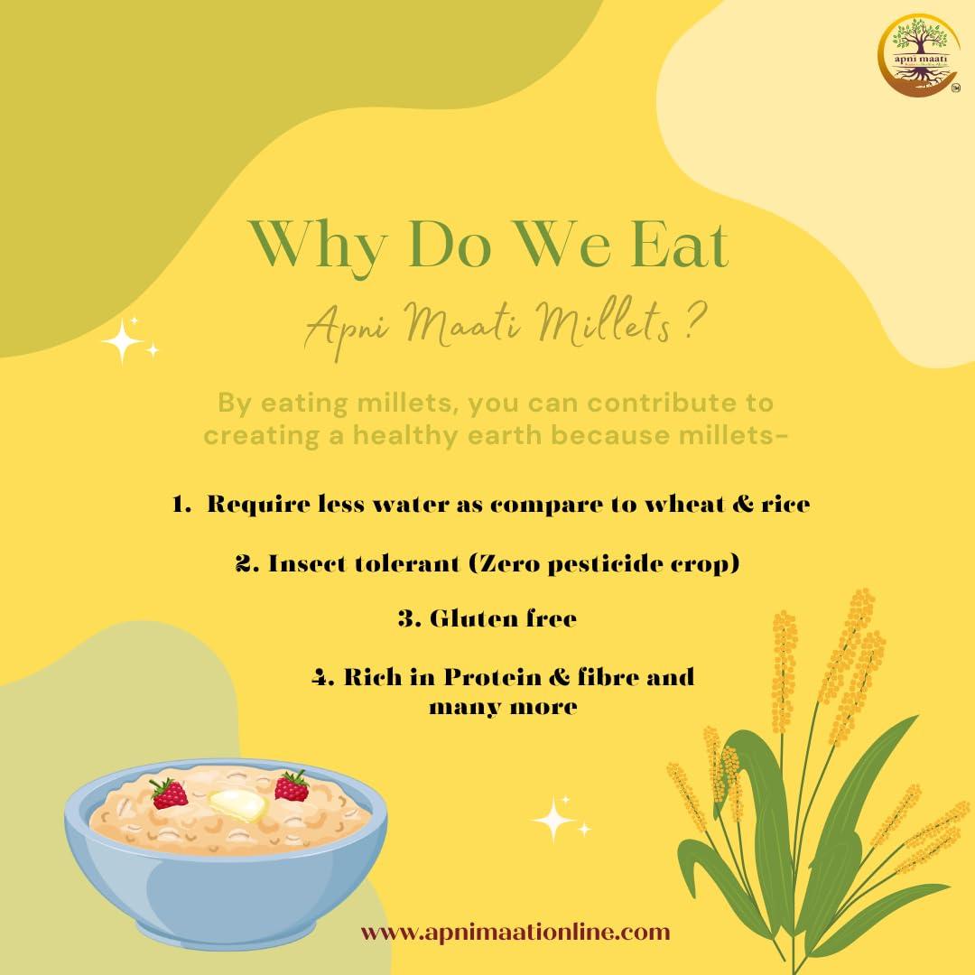 Apni Maati Apni Maati Proso Millet Seed for Sowing (1000 gm; Chena/Panivaragu/Varigulu/Baragu/Barri)