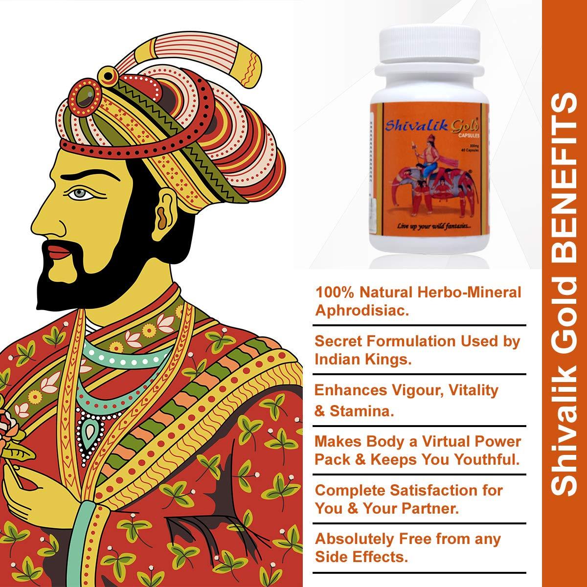 Shivalik Herbals Shivalik Gold 40 Caps- Nyaa Josh, Bharpoor Shakti and Natural Health- Complete Health For Men