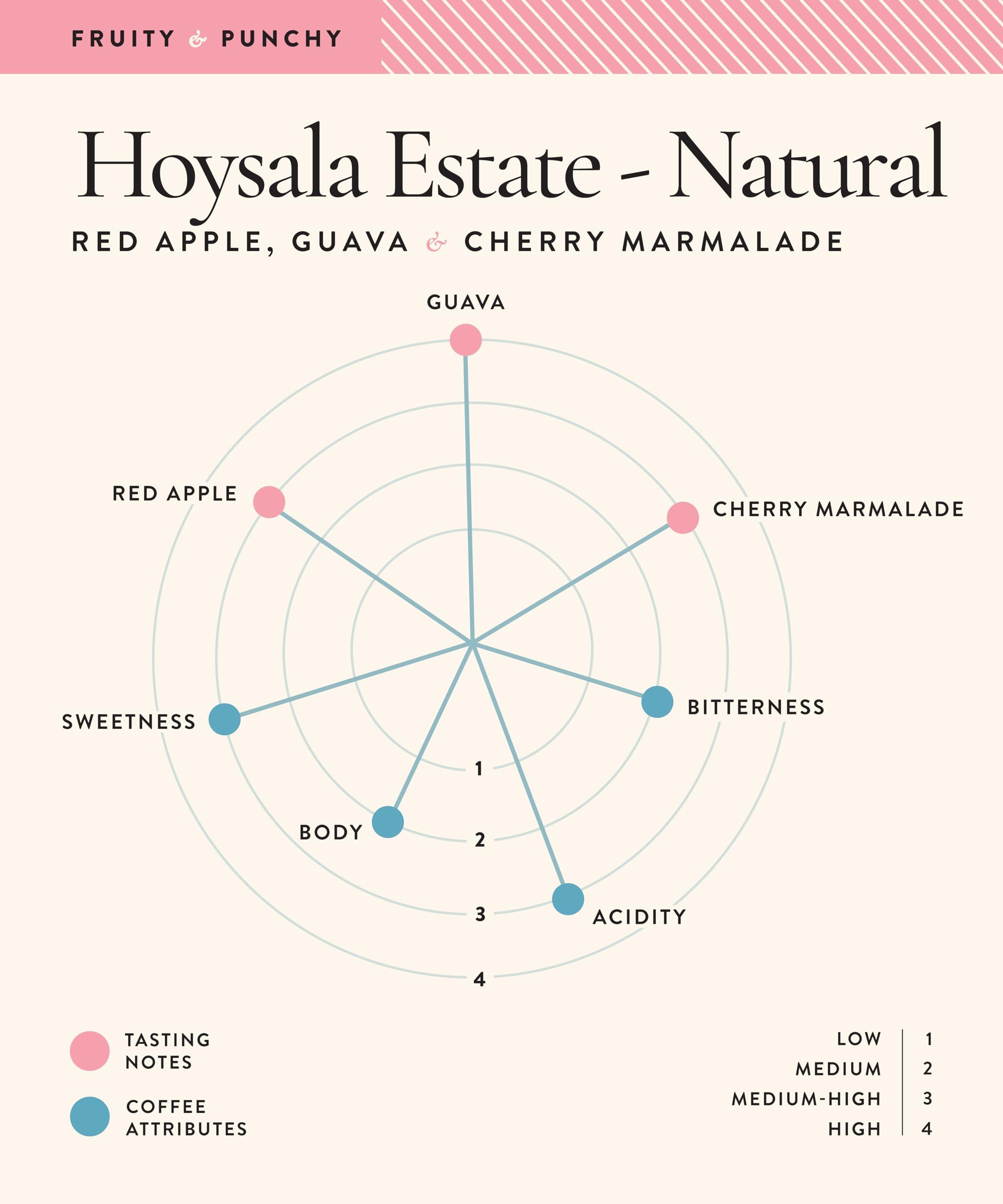 ALCON Alcon AirOptix Colors - Monthly Color Contact Lenses (-05.25, Pure Hazel, Pack of 2)