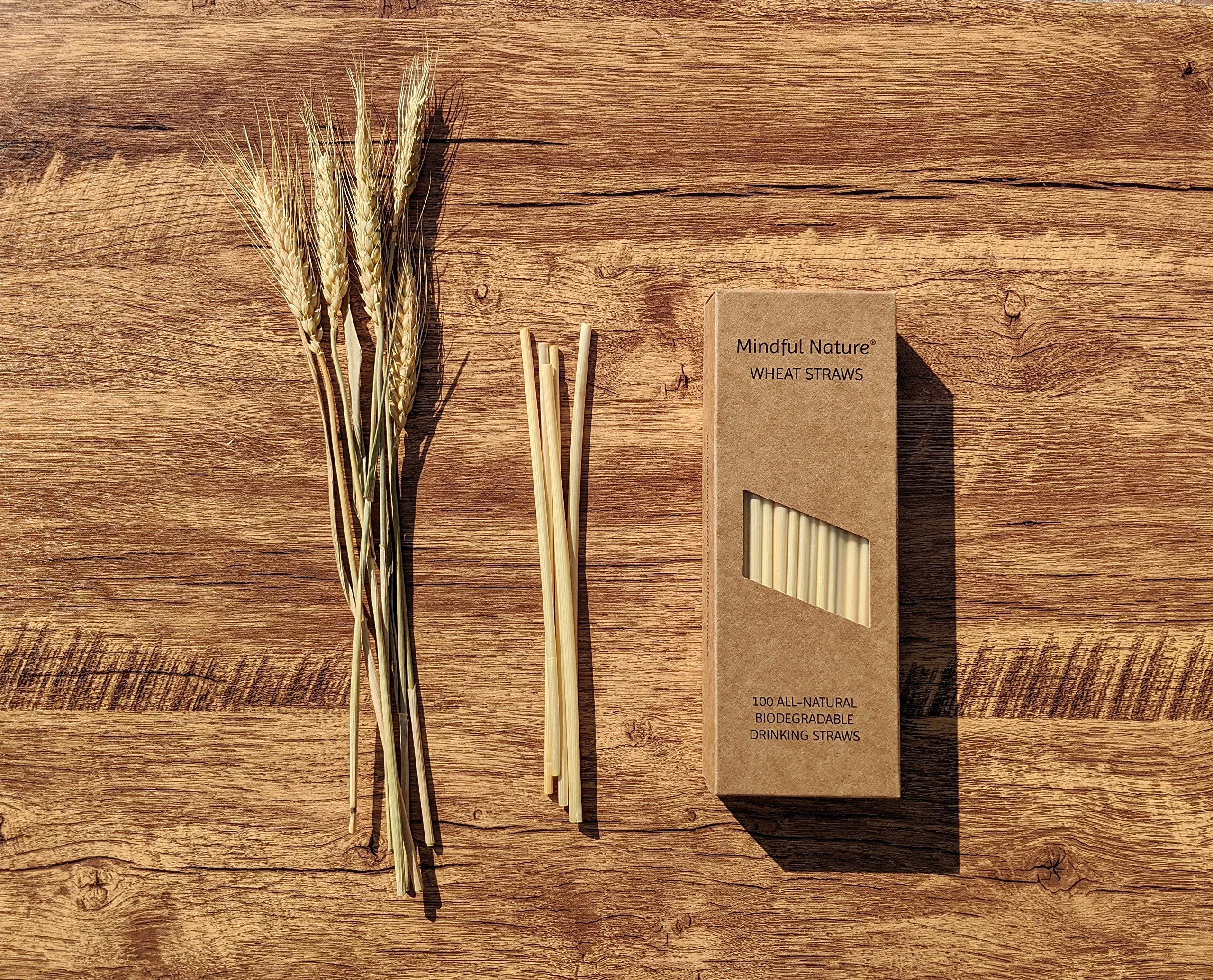 Mindful Nature Mindful Nature Wheat Straws - 100 All-Natural Drinking Straws