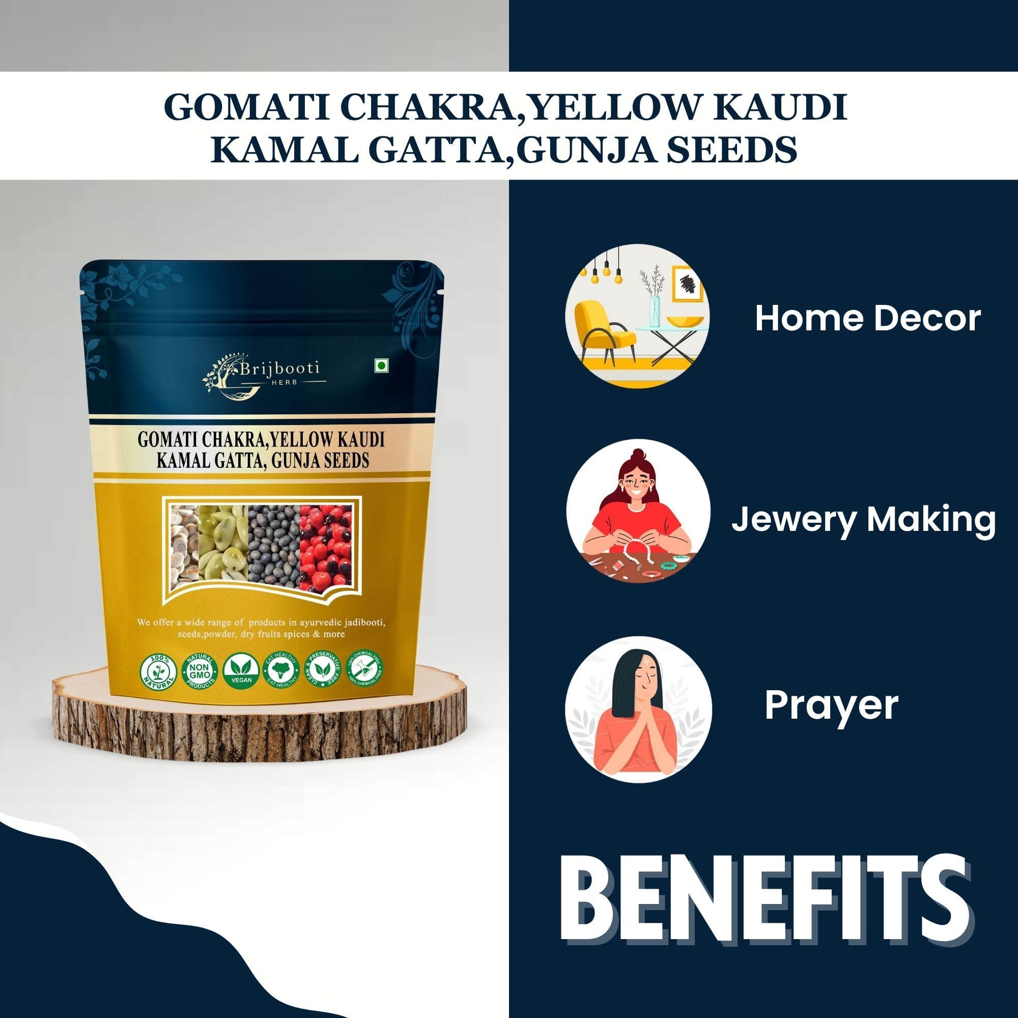 BrijBooti BrijBooti Combo Pack of Gomti Chakra - Pili Kaudi - Kamal Gatta - Gunja Seeds 11 Pieces Each for Lakshmi Pooja, Wealth & Luck