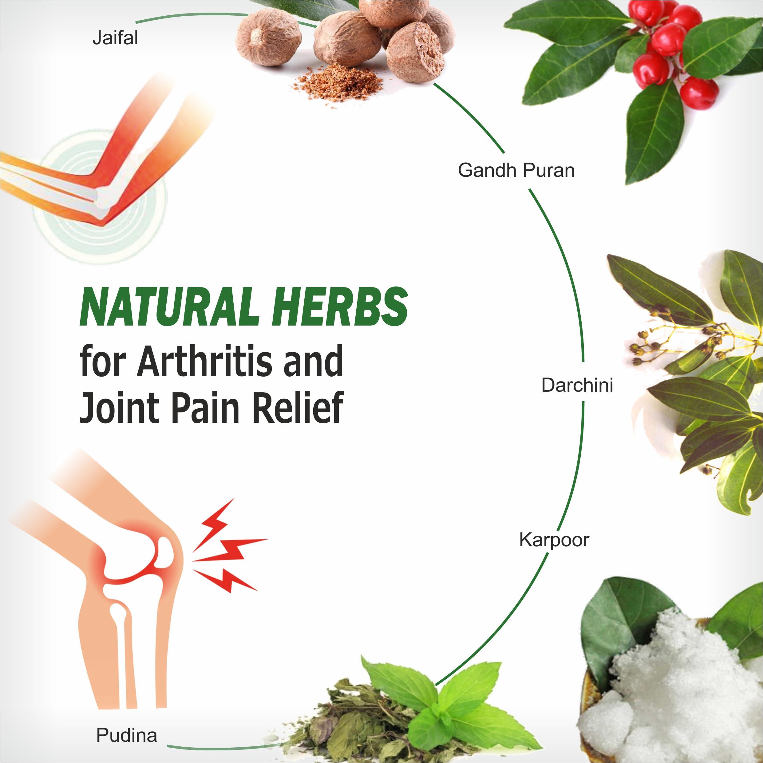 Dr. Bhushan\'s Research Dr. Bhushan\'s Research Ayurvedic Pain Relief Battle Balm 55 gm for Joints Pain, Knee Pain, Back Pain, Muscle Pain Shoulder Pain - Pack of 1