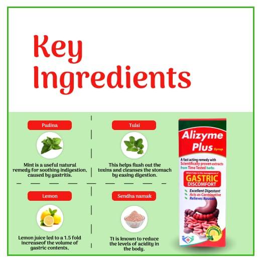 A-LIFE PHARMACY A-LIFE PHARMACY Alizyme Plus Syrup for Gas & Acidity |Relieves Gastric Discomfort | Acts as Carminative | Excellent Digestant | Help in Abdominal Pains & Nausea 1 Lt. (Pack of 5) Flower Lemon & Mint Syrup