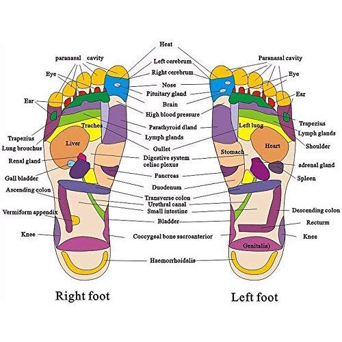 DOLIVA Doliva Acupressure Slippers and Magnetic Therapy Acupressure Sandals Full Body Blood Circulation Natural Leg Foot Massager Slippers for Men and Women