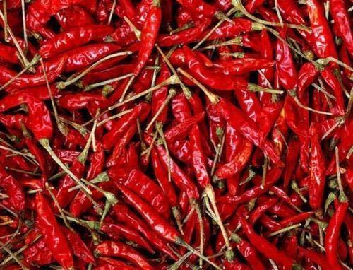 MR & SONS MJR Dry Guntur Mirchi - Hot Dried Red Chilli - 500 Grams/Sabut lal Mirch/Red Chilli Whole