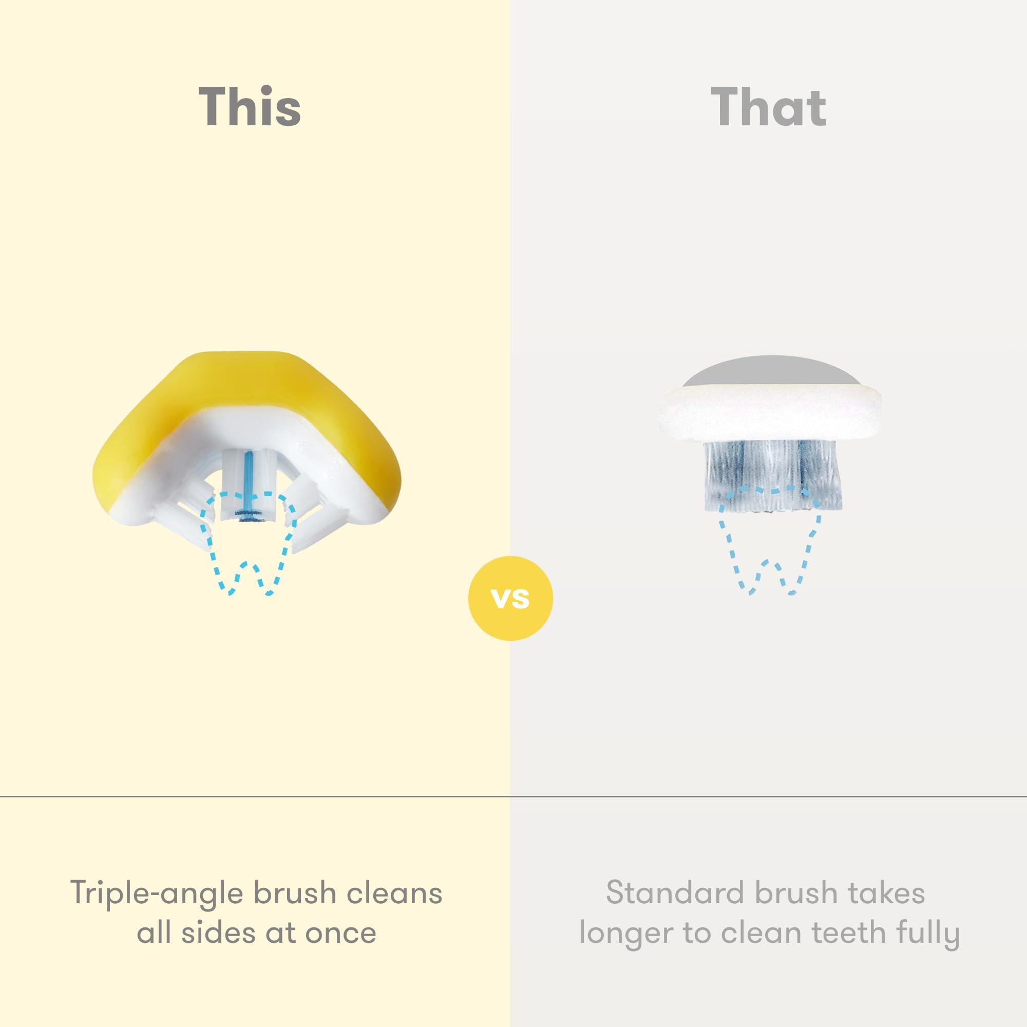 Botanical Sage Botanical Sage- Healthy Menopause Tea 40 Pyramid Teabags | 40 Days Pack | With Goodness of Sage, Raspberry, Red Clover, Shatavari etc | Helps with hot flushes & Mood swings | Selected